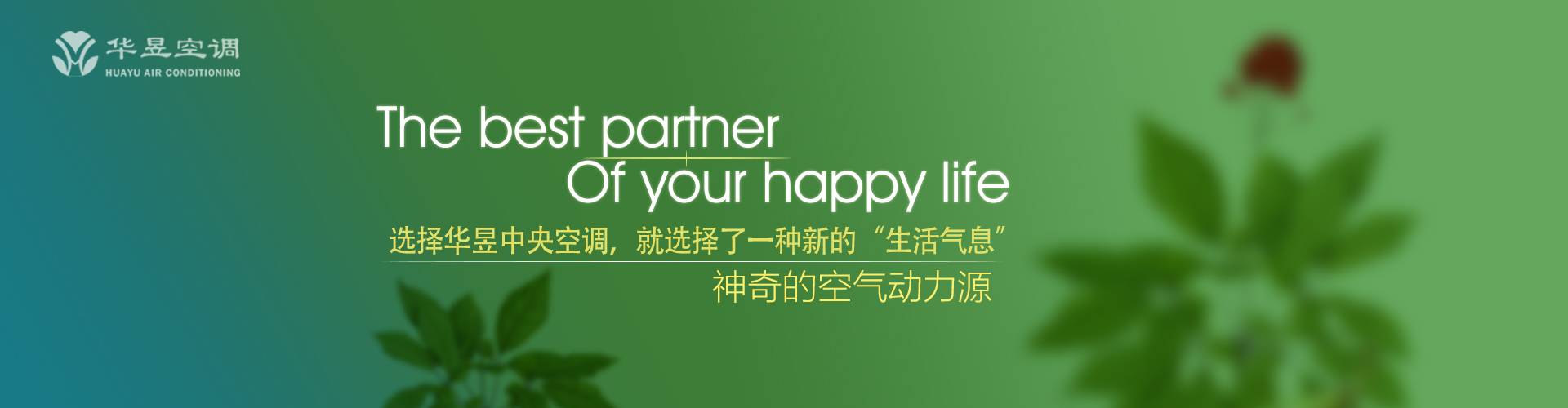 赤子之心网